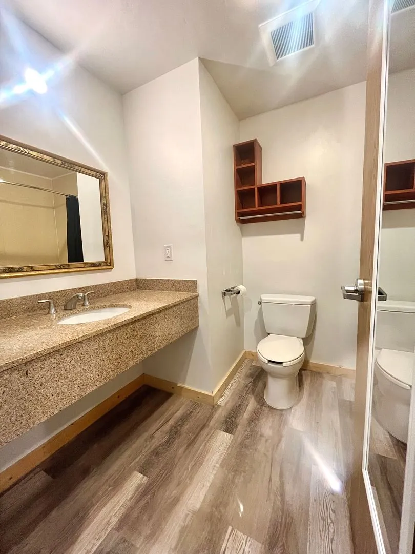 Large Studio Apartment - Stretch out, Settle in! All Utilities & Internet Included. - Photo 4
