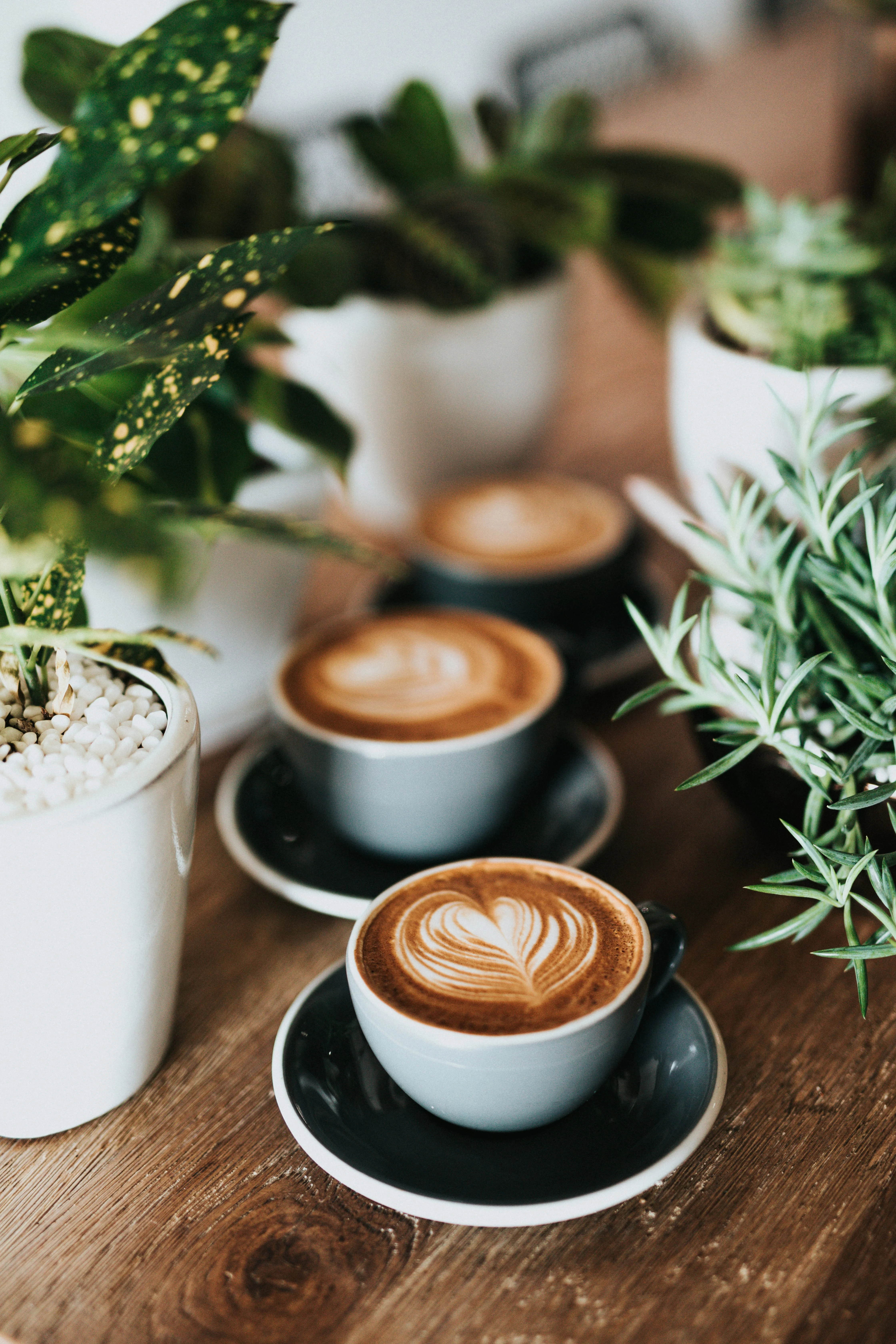 Dining & Coffee near Ski Town Apartments